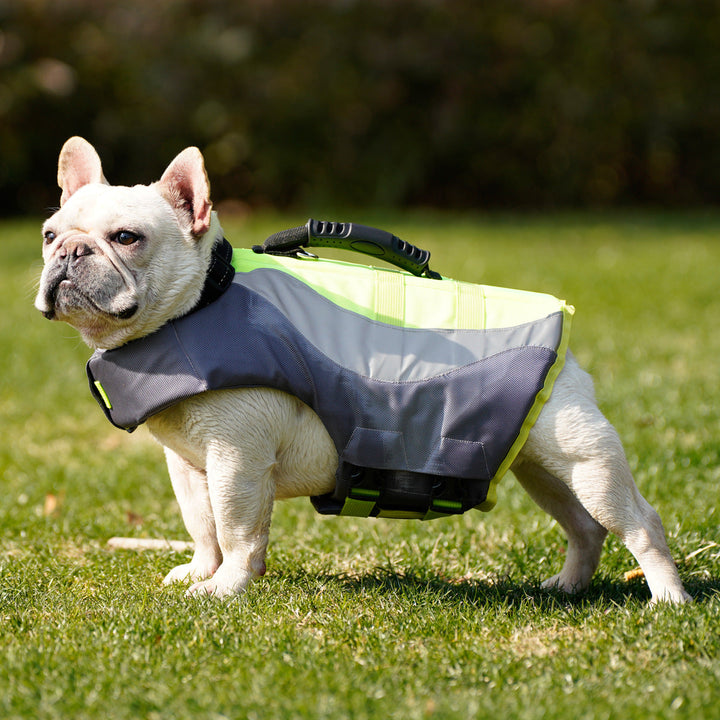 Why Your Pup Needs a Reflective Pet Swimsuit Life Jacket