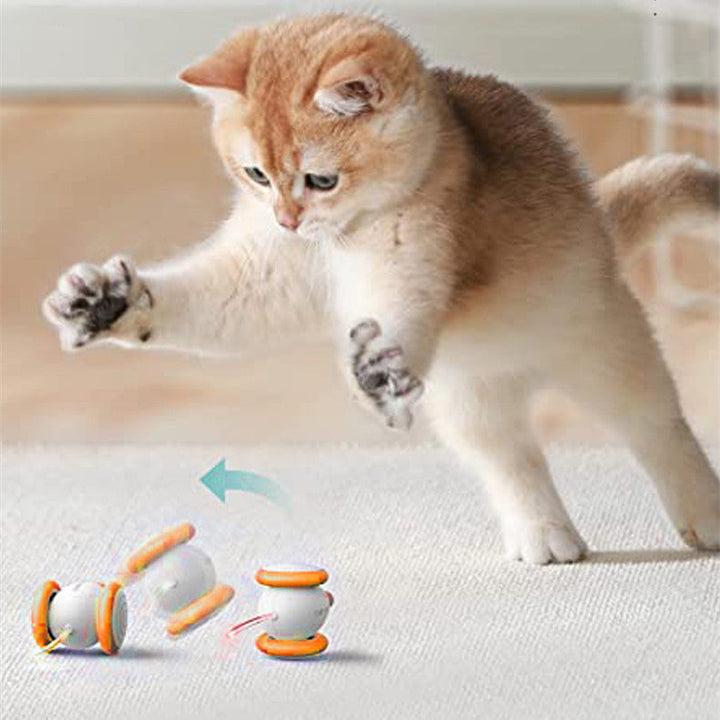Unleash Fun and Engagement with the Electric Intelligent Charging Teasing Pet Toy