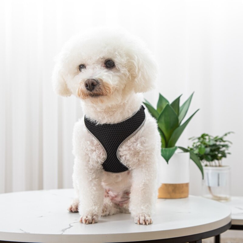 The Ultimate Pet Walking Vest Harness Leash Set