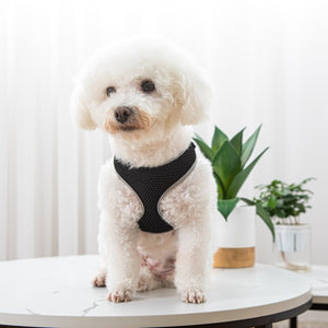 The Ultimate Pet Walking Vest Harness Leash Set