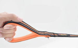 Unleash Adventure with Our Pet Nylon Retractable Leash