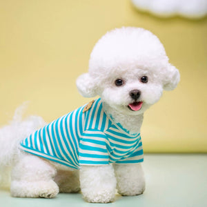 Summer Breathable Pet T Shirt Apparel