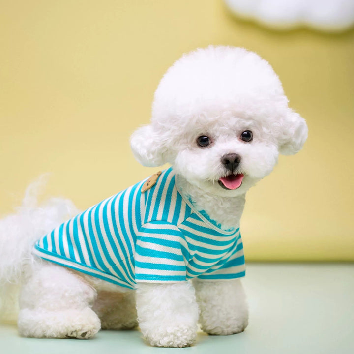 Summer Breathable Pet T Shirt Apparel
