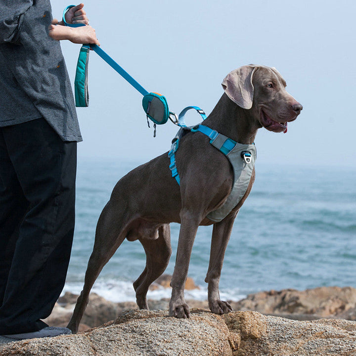 Explosion Proof Pet Chest Strap Leash Storage Bag - The Ultimate Pet Companion!